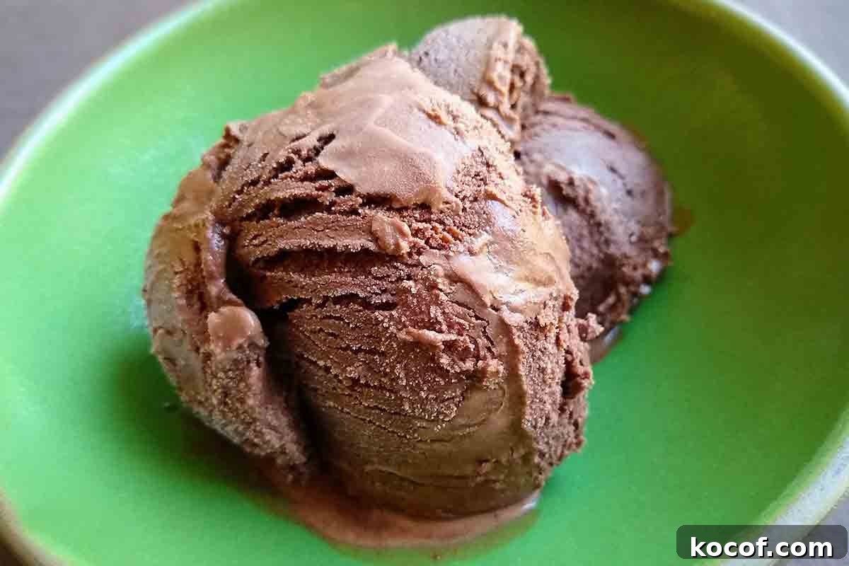 Decadent Dark Chocolate Gelato Recipe - Creamy Homemade Treat 8 A bright cream bowl with 2 scoops of dark chocolate gelato.
