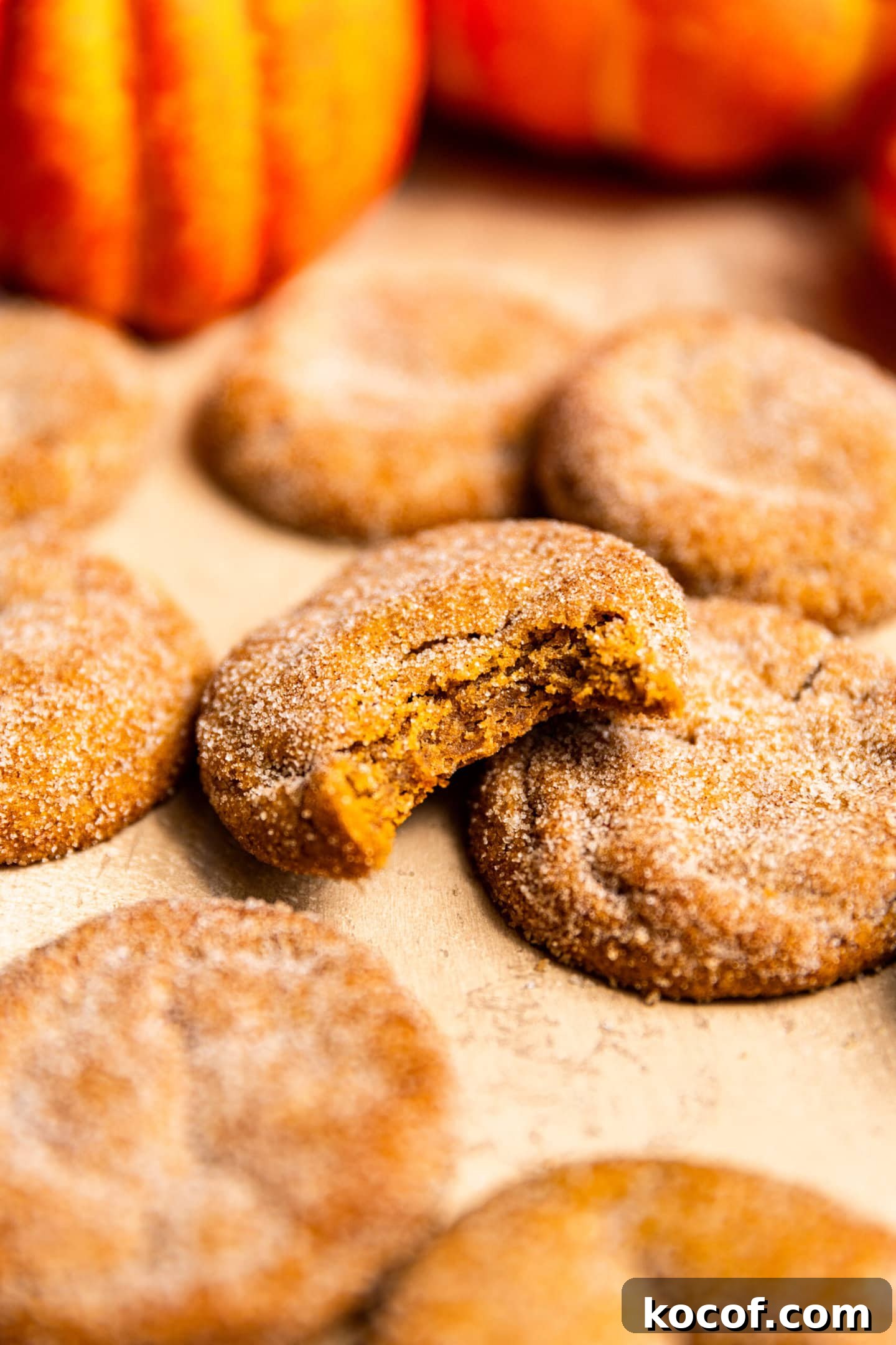 Brown Butter Pumpkin Snickerdoodle Cookies — Soft & Chewy 11 Close up of pumpkin snickerdoodle with a bite missing.