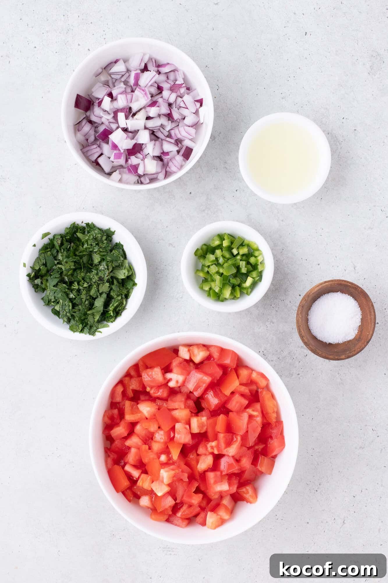 Ingredients for salsa on a countertop: diced tomatoes, chopped red onions, cilantro, green chili, lime juice, and salt.