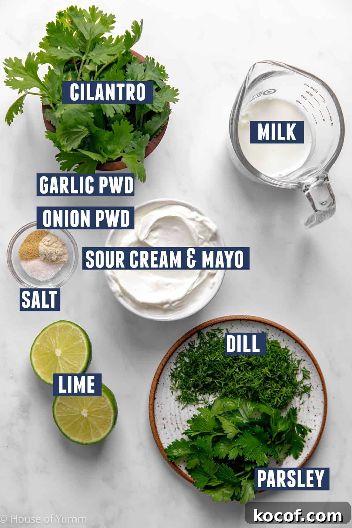 Ingredients needed to make cilantro lime ranch dressing.