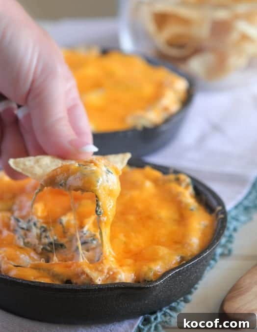 Best of Picky Palate Recipes 2015