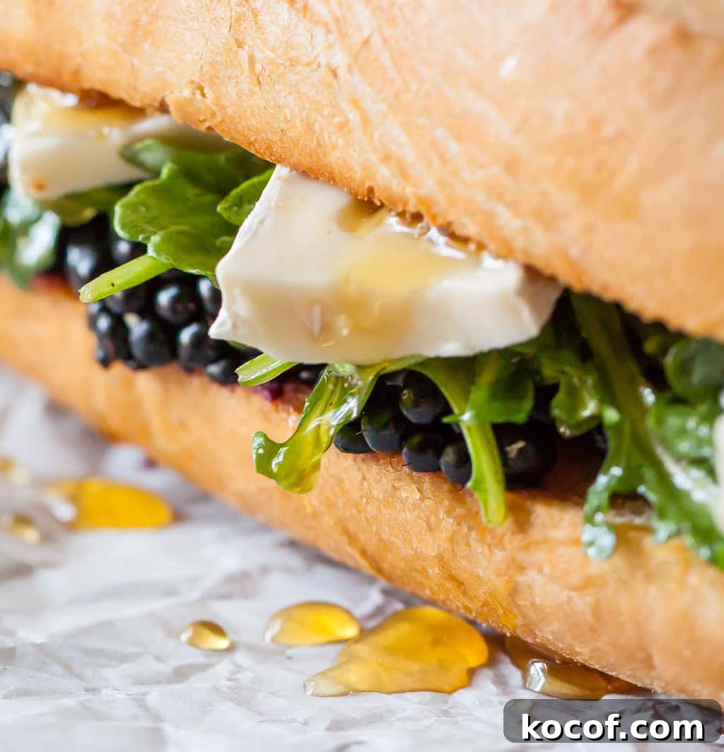 Blackberry and Brie Grilled Sandwich with Honey and Thyme 2 Blackberry Brie Sandwich