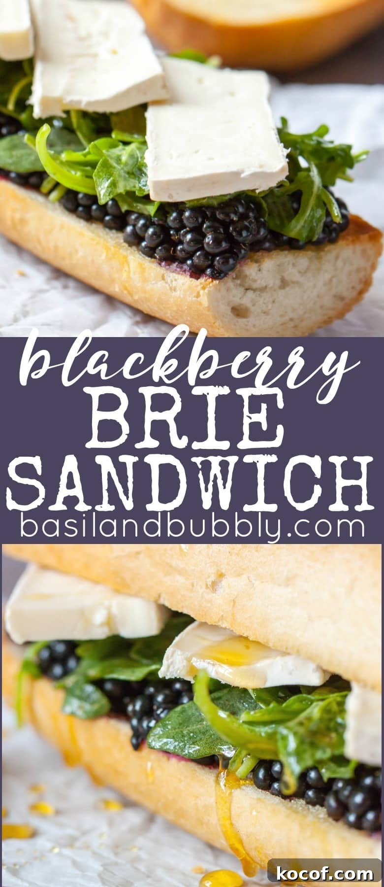 Blackberry and Brie Grilled Sandwich with Honey and Thyme 11 Blackberry Brie Sandwich