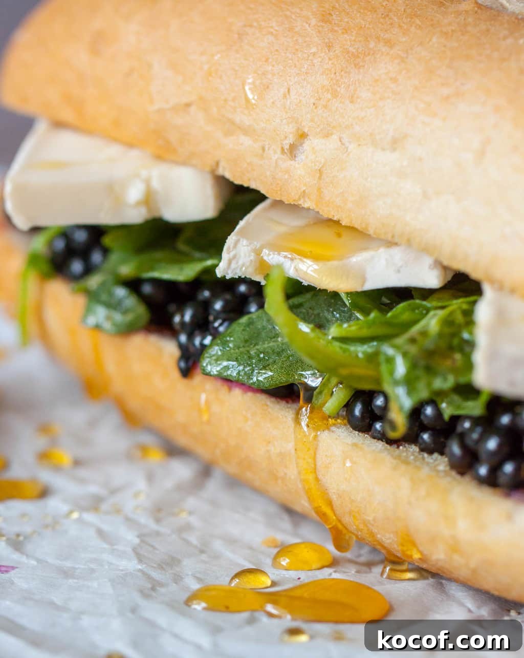 Blackberry and Brie Grilled Sandwich with Honey and Thyme 9 Blackberry Brie Sandwich