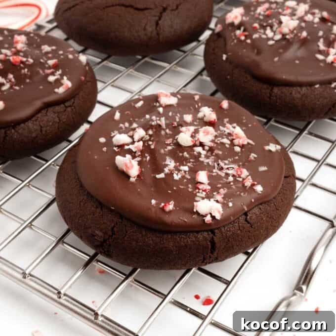 Fudgy Peppermint Brownie Cookie Recipe 12 chocolate peppermint brownie cookie on cooling rack