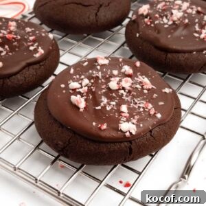 Fudgy Peppermint Brownie Cookie Recipe 14 chocolate peppermint brownie cookie on cooling rack
