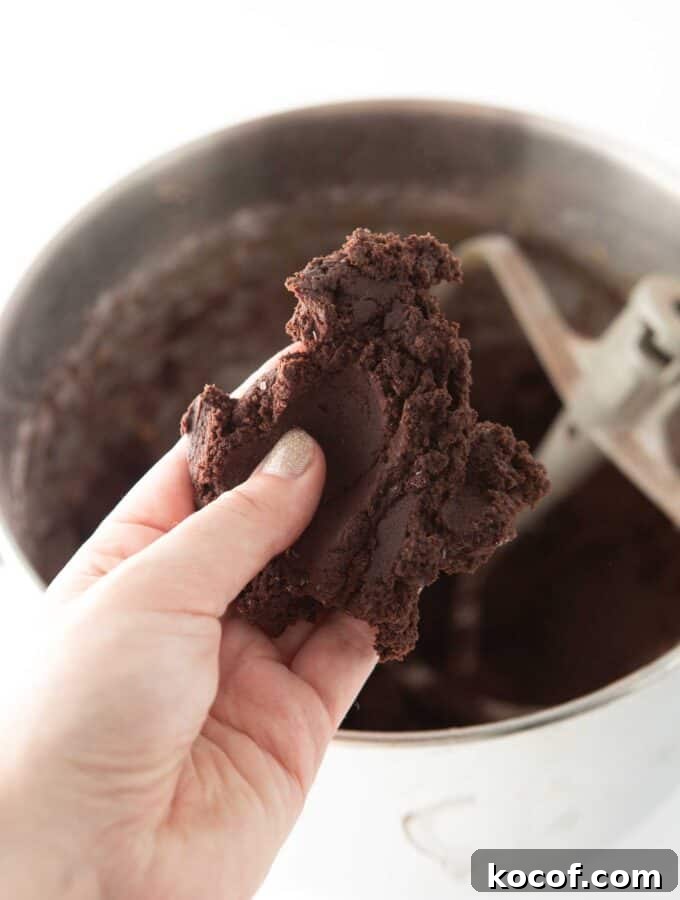Fudgy Peppermint Brownie Cookie Recipe 6 hand holding firm, thick cookie dough