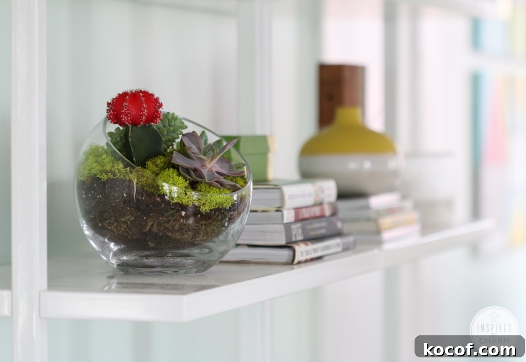 Succulent Garden Bowl | Inspired by Charm
