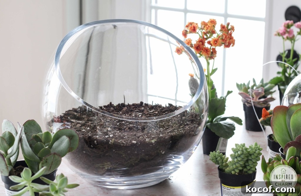 Succulent Garden Bowl | Inspired by Charm