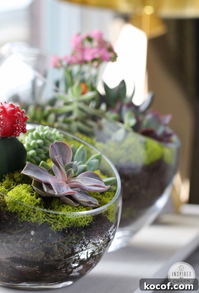 Succulent Garden Bowl | Inspired by Charm