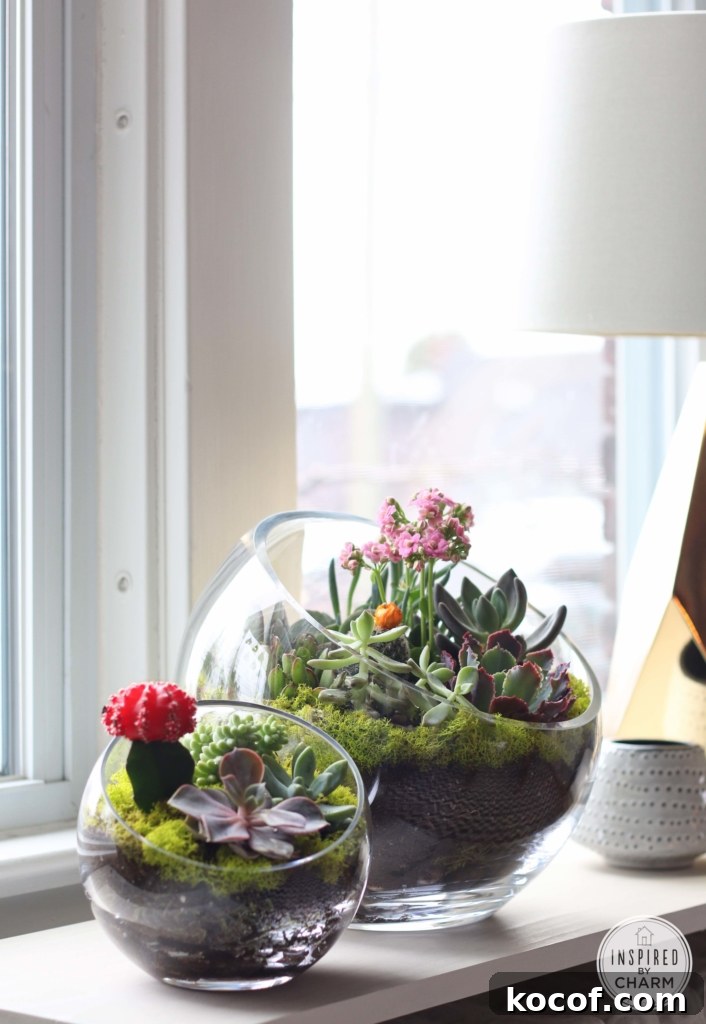 Succulent Garden Bowl | Inspired by Charm