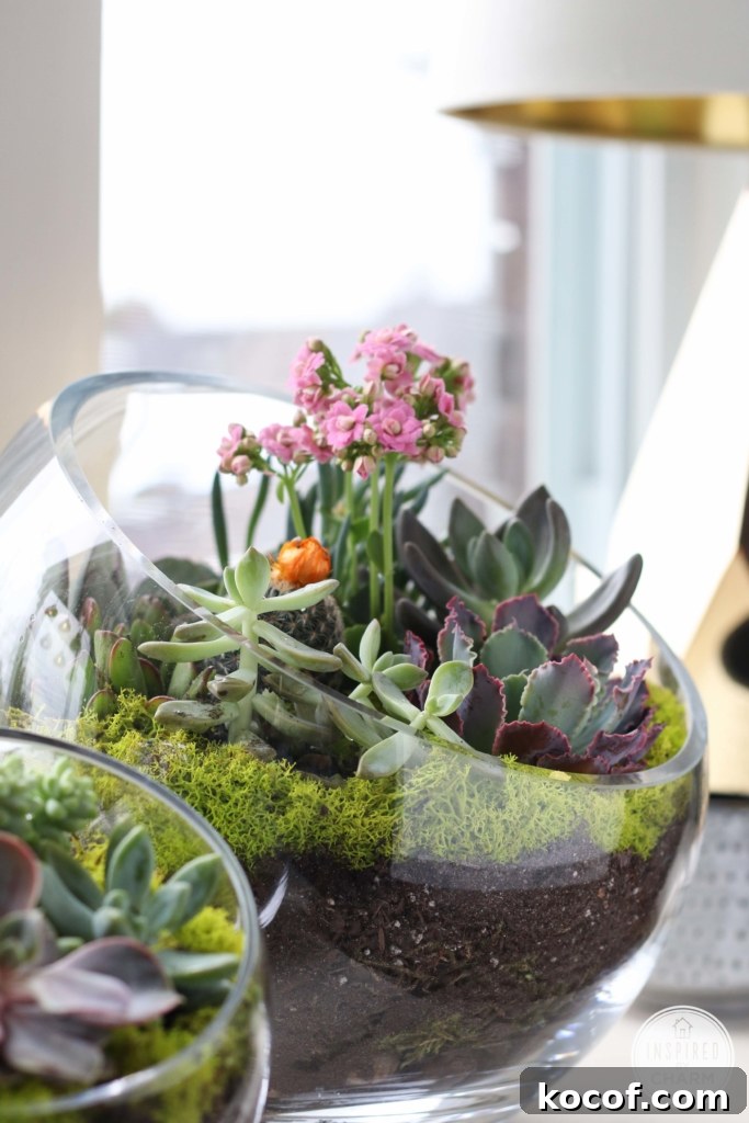 Succulent Garden Bowl | Inspired by Charm