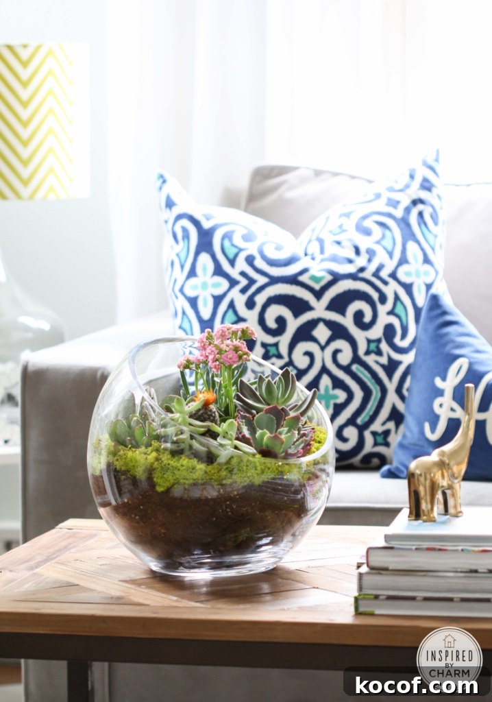 Succulent Garden Bowl | Inspired by Charm