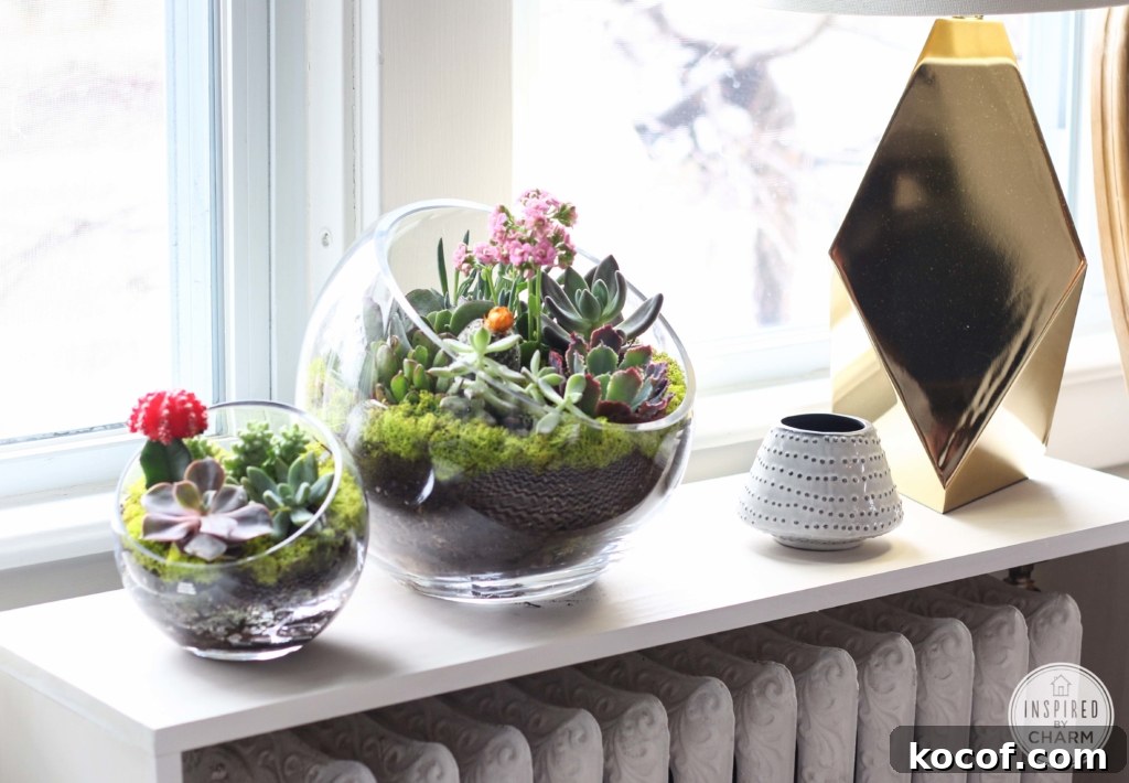 Succulent Garden Bowl | Inspired by Charm