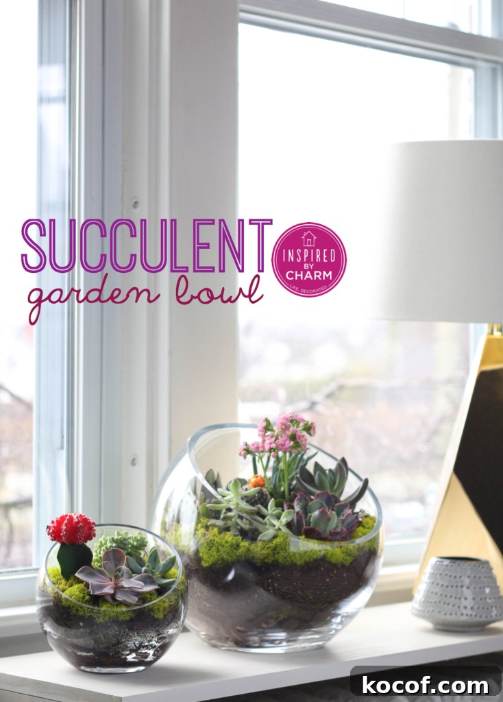 Succulent Garden Bowl | Inspired by Charm