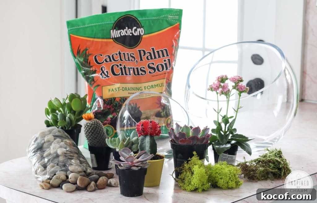 Succulent Garden Bowl | Inspired by Charm