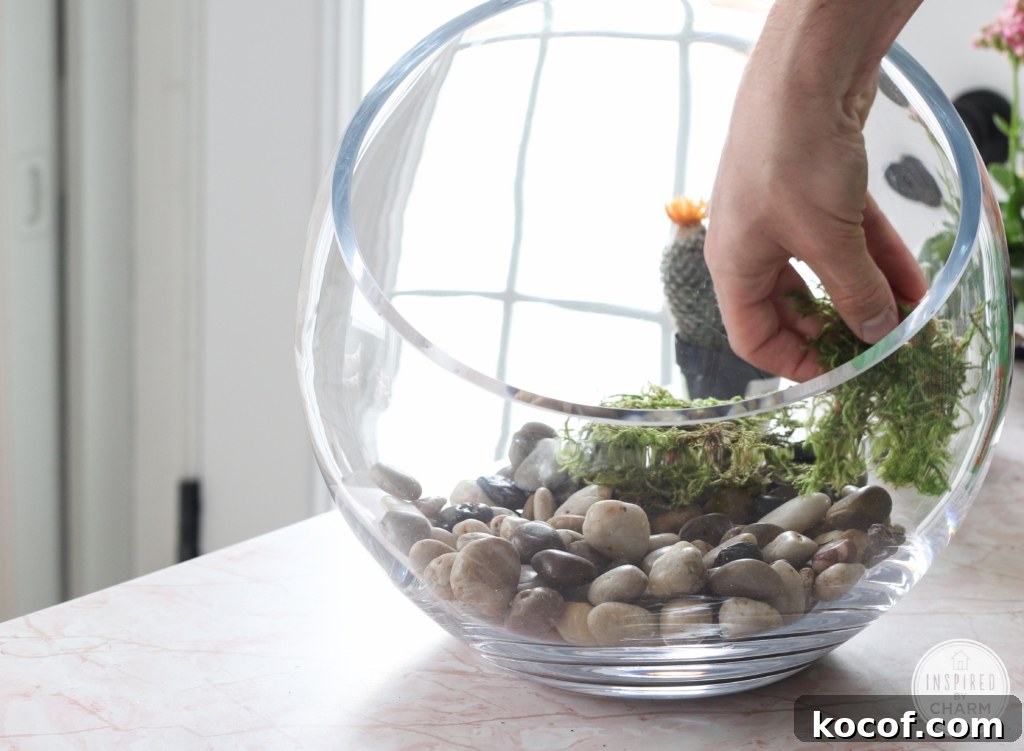 Succulent Garden Bowl | Inspired by Charm