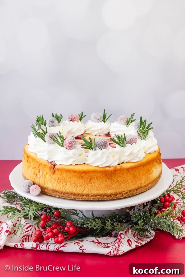 A white cake plate with a full sized cranberry cheesecake topped with whipped cream, candied cranberries, and thyme sprigs.