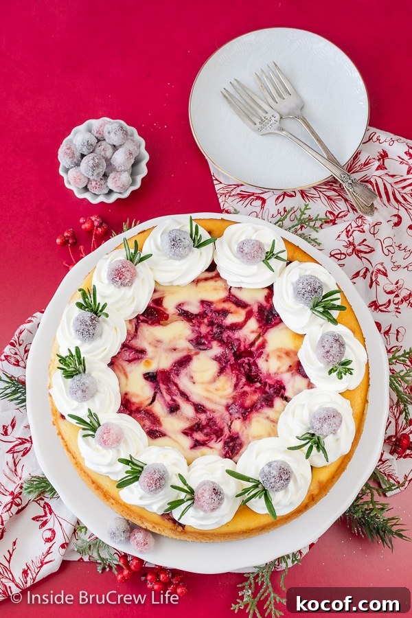 An overhead picture of a swirled cranberry cheesecake topped with Cool Whip, candied cranberries, and thyme.