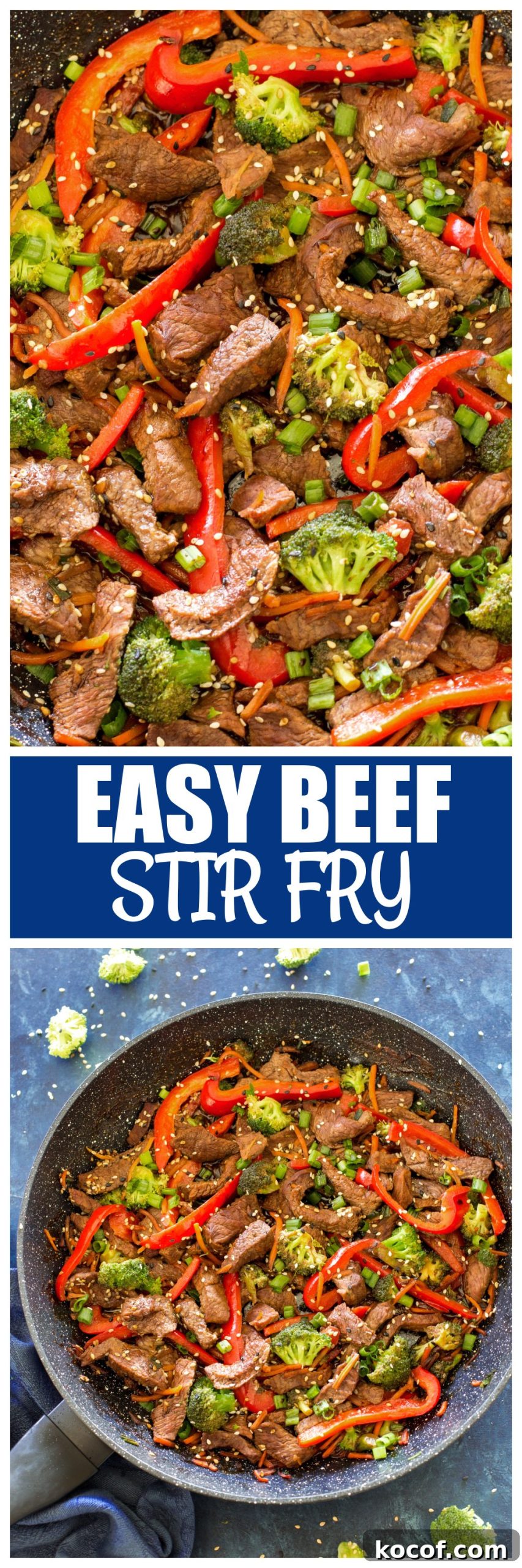 Beef Stir Fry 