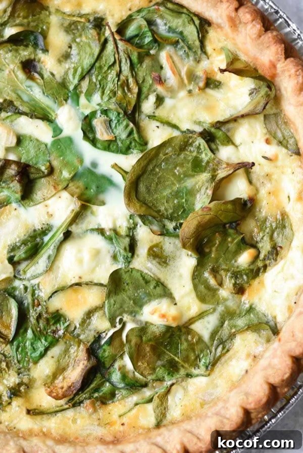 A baked quiche Florentine.
