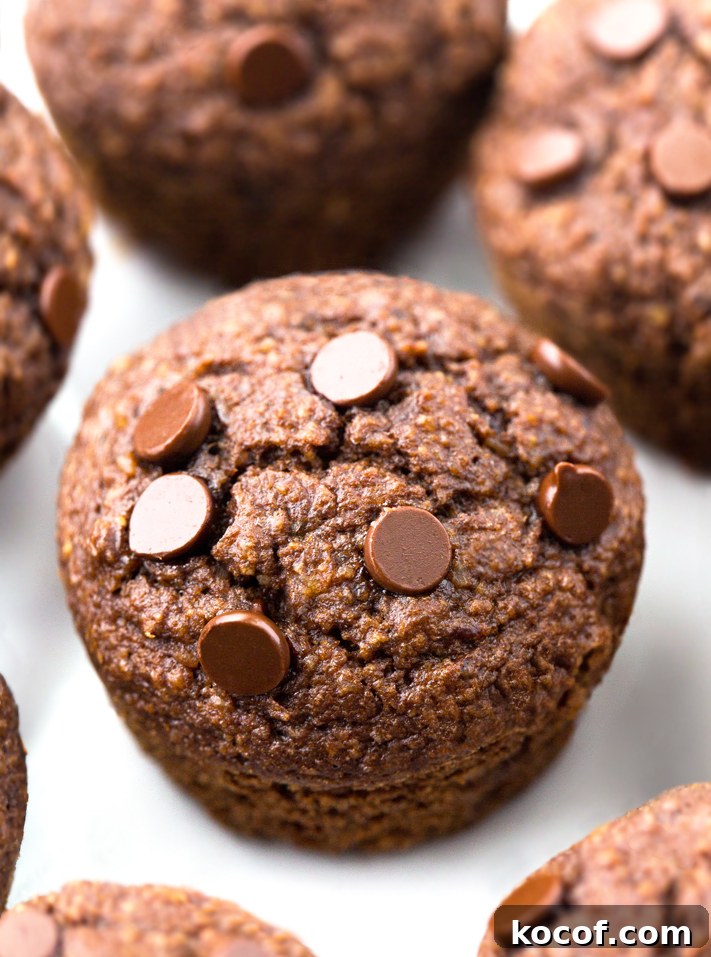 Double Chocolate Keto Muffins Double Chocolate Keto Muffins