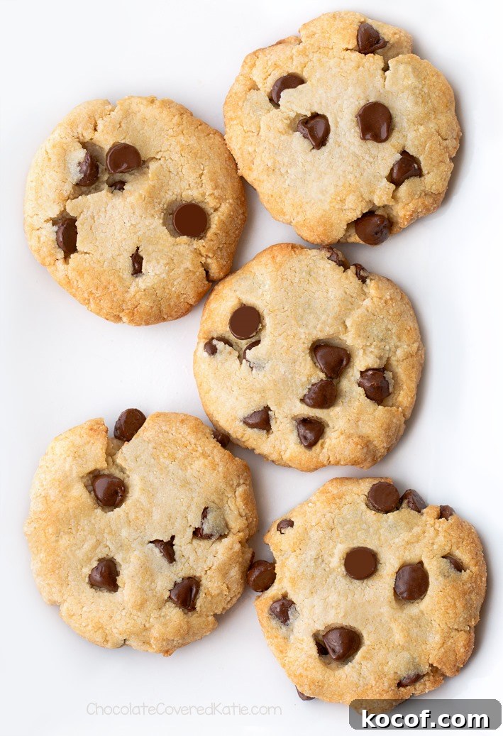 Keto Cookies keto chocolate chip cookies