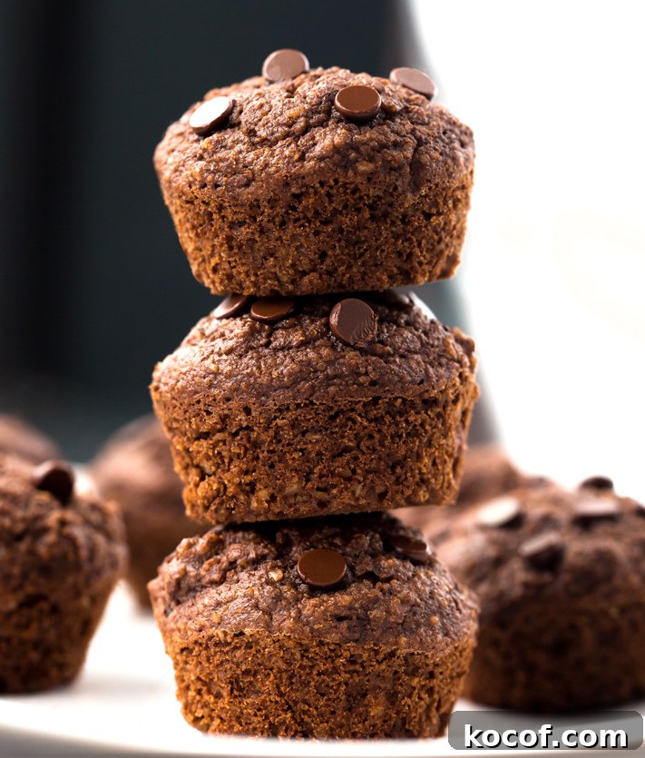 The Best Easy Keto Chocolate Muffins Recipe The Best Easy Keto Chocolate Muffins Recipe