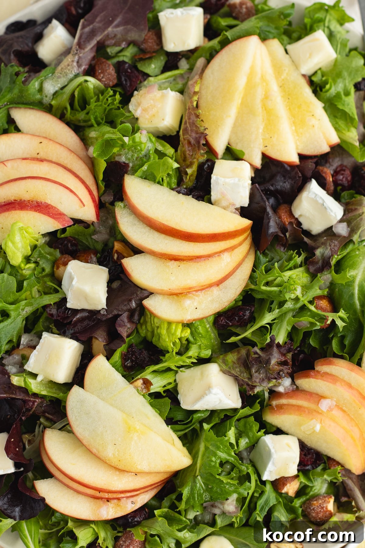 This is a close-up picture of the apple brie salad.