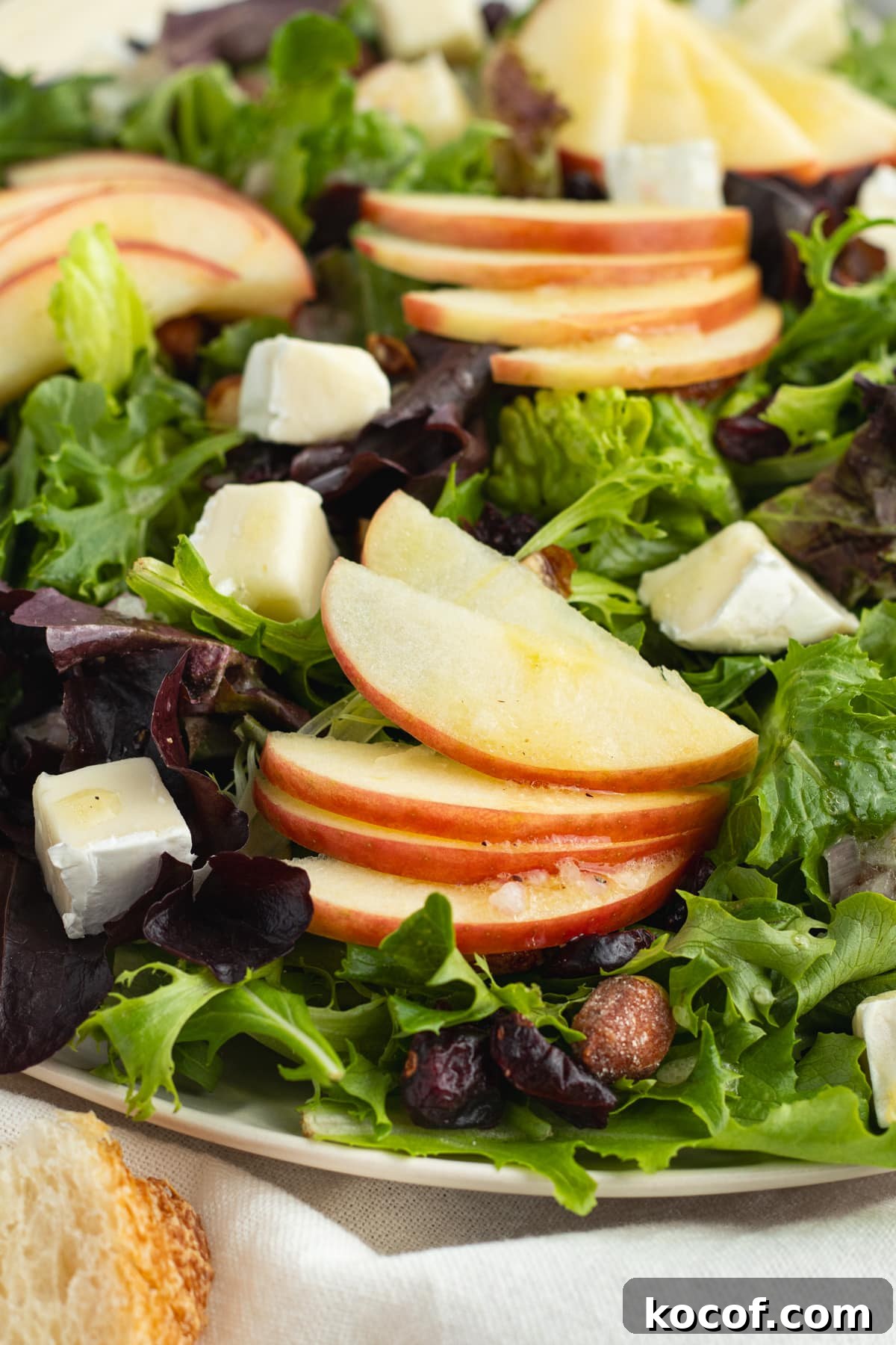 This is a close-up picture of the apple brie salad.