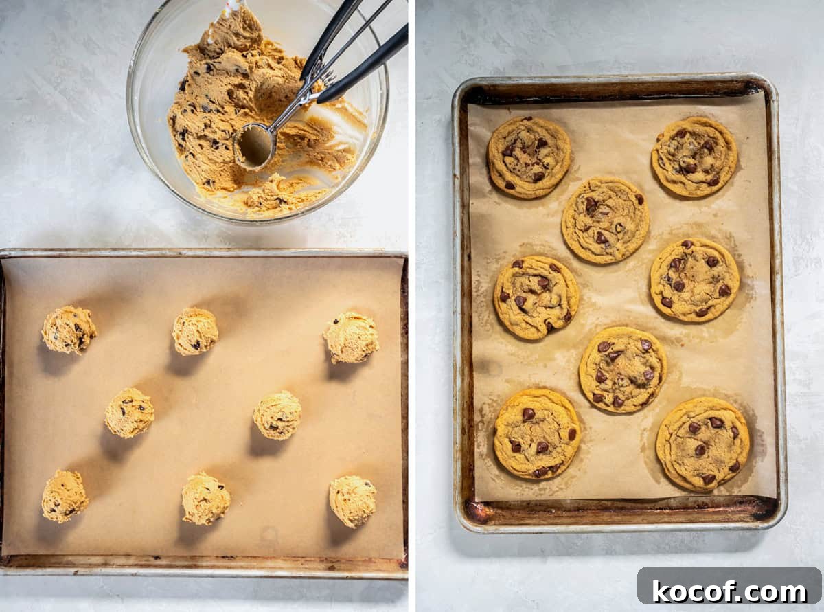 Chocolate Chip Cookie Butter Cookies Recipe for Crispy, Gooey Treats 7 process photos showing scooped cookie butter cookie dough on a baking sheet and the baked chocolate chip Biscoff cookies after coming out of the oven.