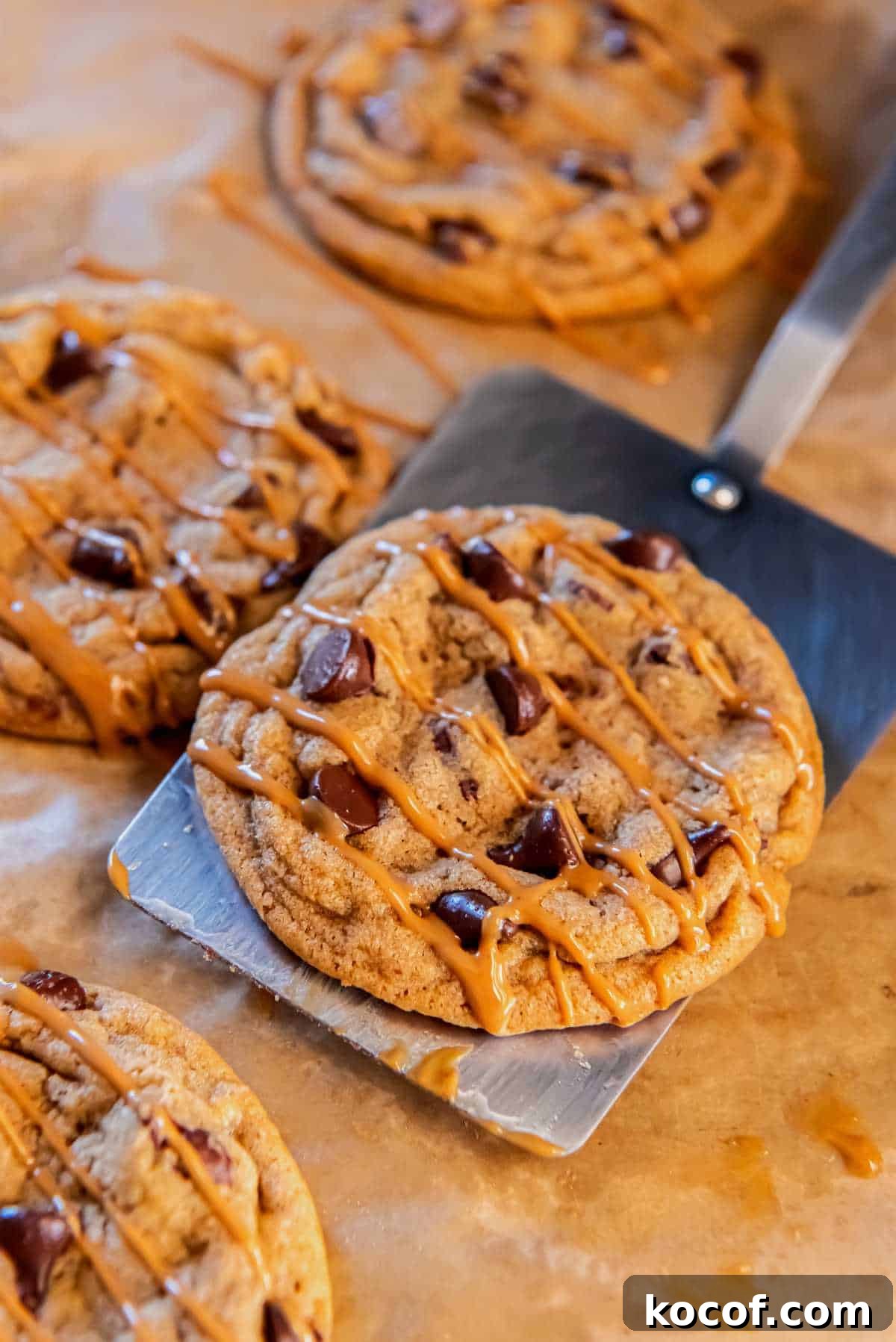Chocolate Chip Cookie Butter Cookies Recipe for Crispy, Gooey Treats 8 chocolate chip Biscoff cookie lifted with a spatula and topped with cookie butter drizzle.