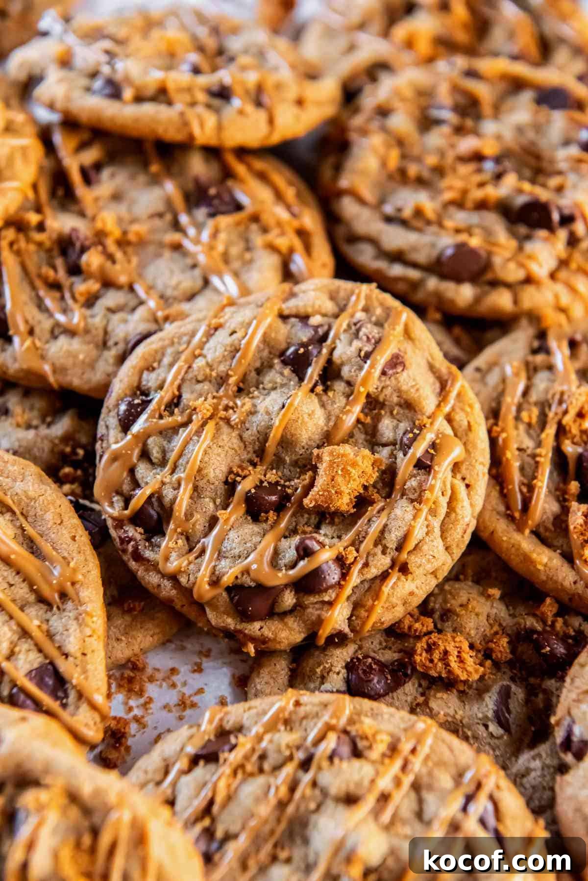 Chocolate Chip Cookie Butter Cookies Recipe for Crispy, Gooey Treats 9 tray of warm chocolate chip cookie butter cookies cooling on parchment paper.