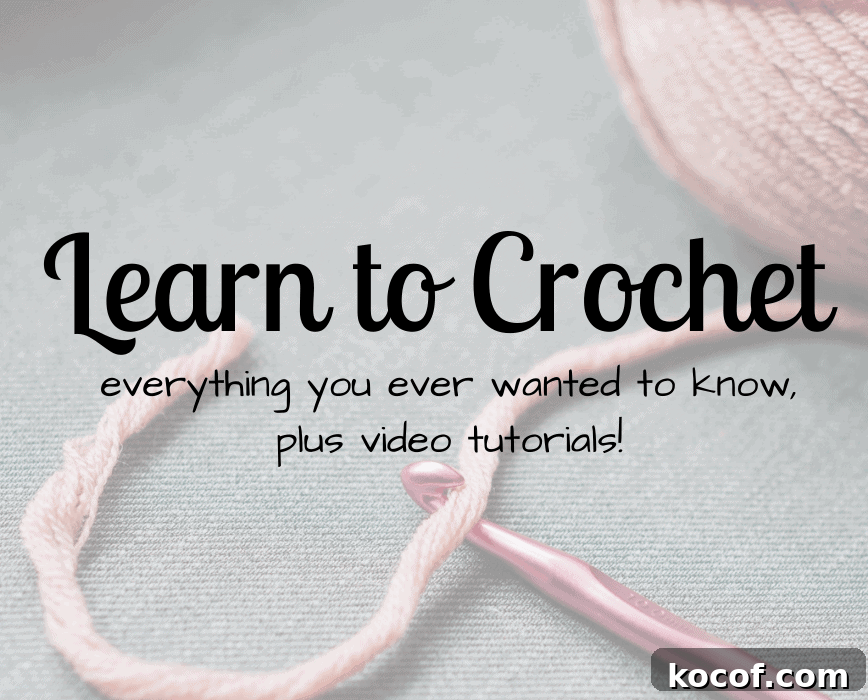 Start Crocheting Today: Beginner's Guide to Quick Stitches 2 Learn to crochet.