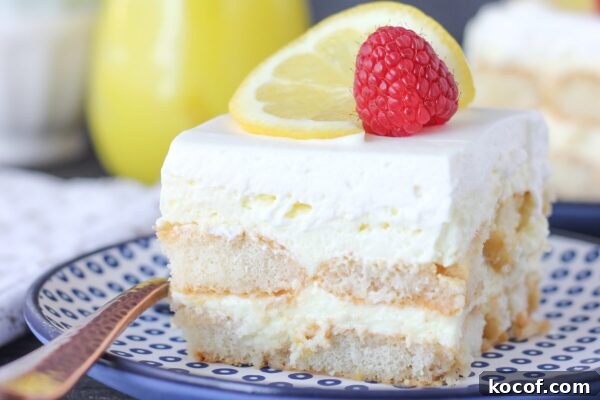 9 No-Bake Summer Desserts to Beat the Heat 3 img 6003 2