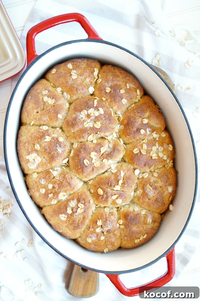 no-knead oatmeal rolls | The Baking Fairy