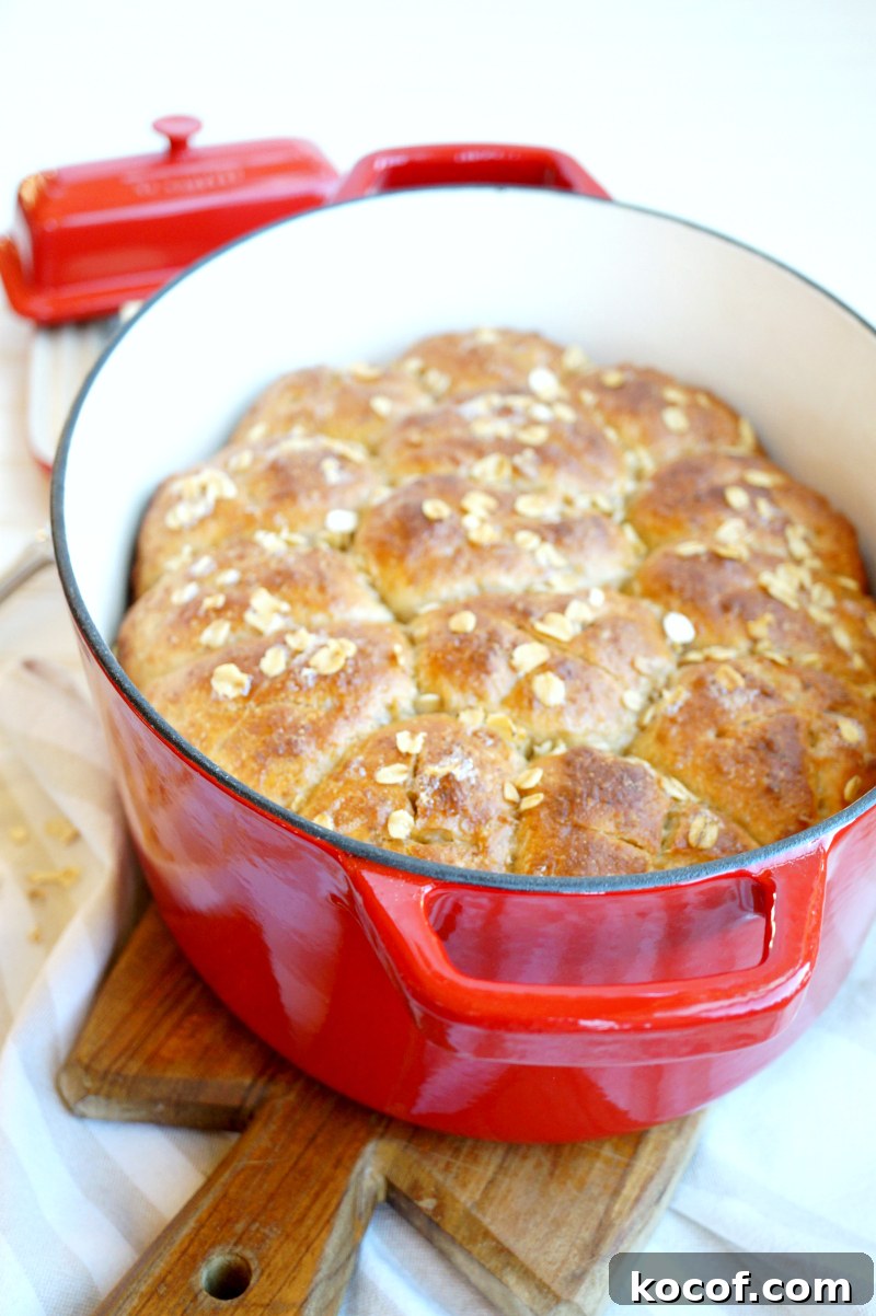 no-knead oatmeal rolls | The Baking Fairy