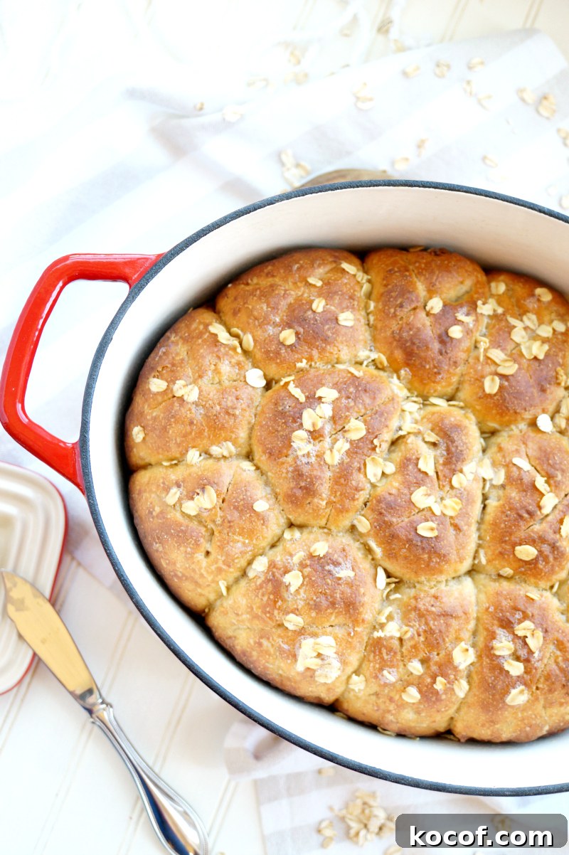 no-knead oatmeal rolls | The Baking Fairy