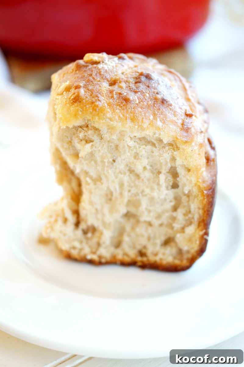 no-knead oatmeal rolls | The Baking Fairy