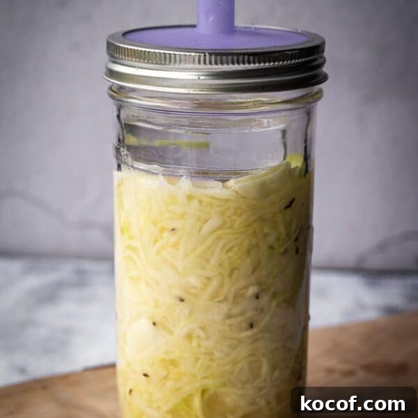 Mason jar with shredded cabbage.