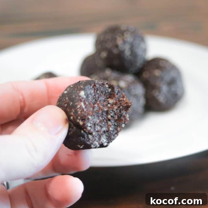 homemade larabars