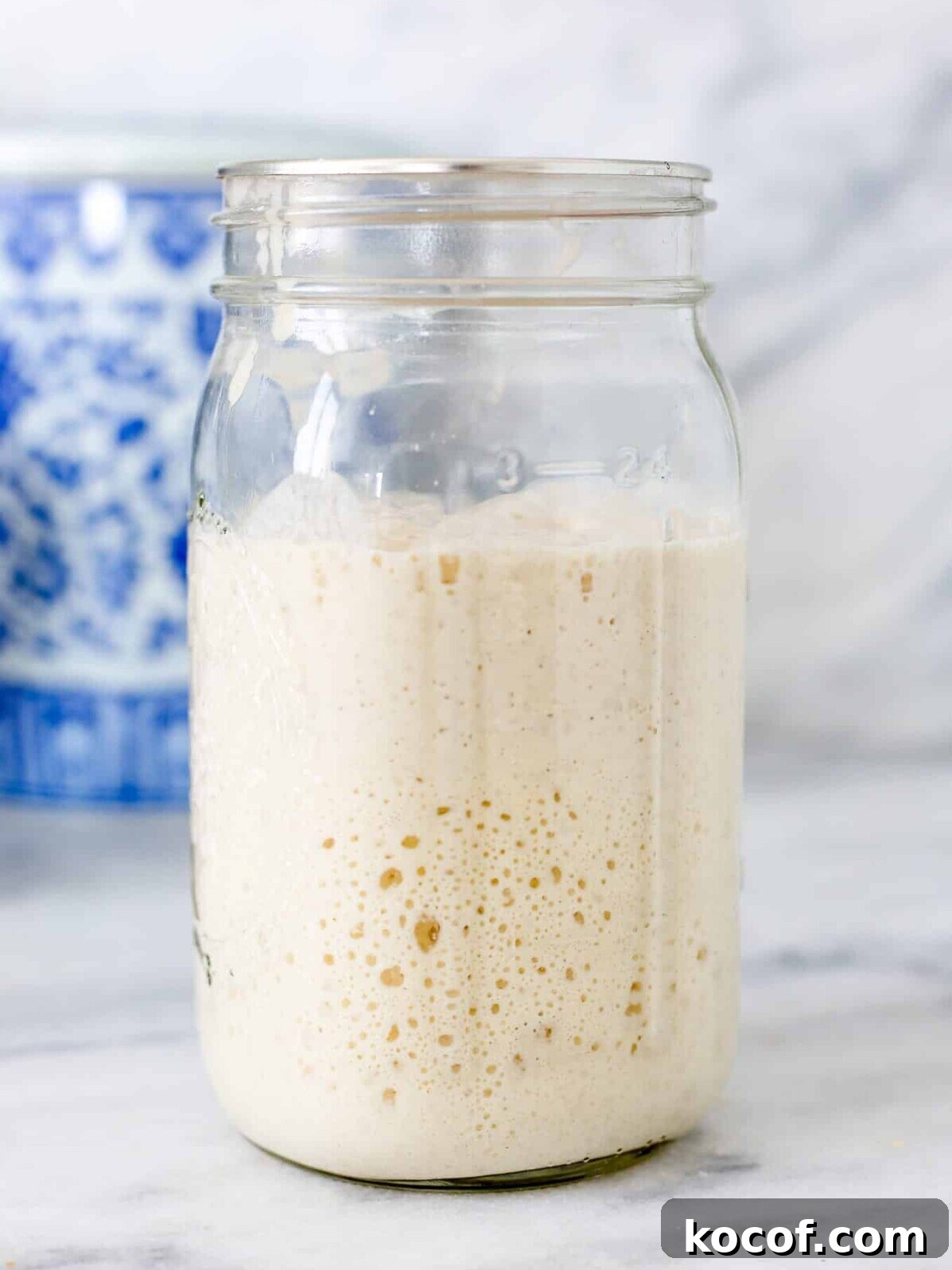 How to Make a Sourdough Starter at Home: Step-by-Step Guide 2 Sourdough Starter
