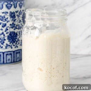 Sourdough Starter in large mason jar.