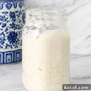 How to Make a Sourdough Starter at Home: Step-by-Step Guide 6 Sourdough Starter in large mason jar.