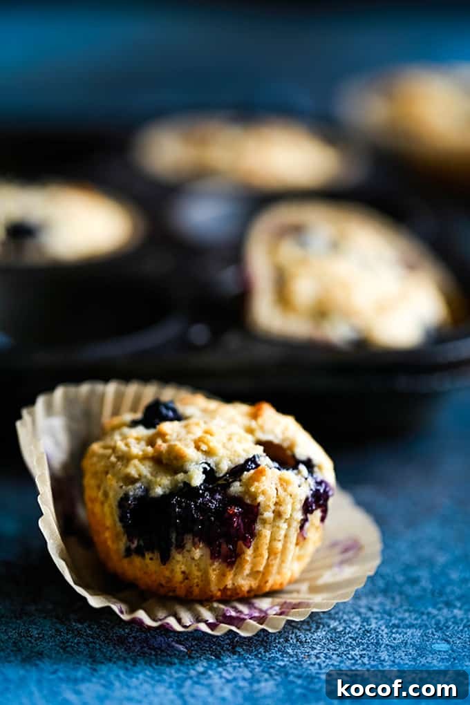 A Yogurt Blueberry Oatmeal Muffin sitting in a muffin liner.