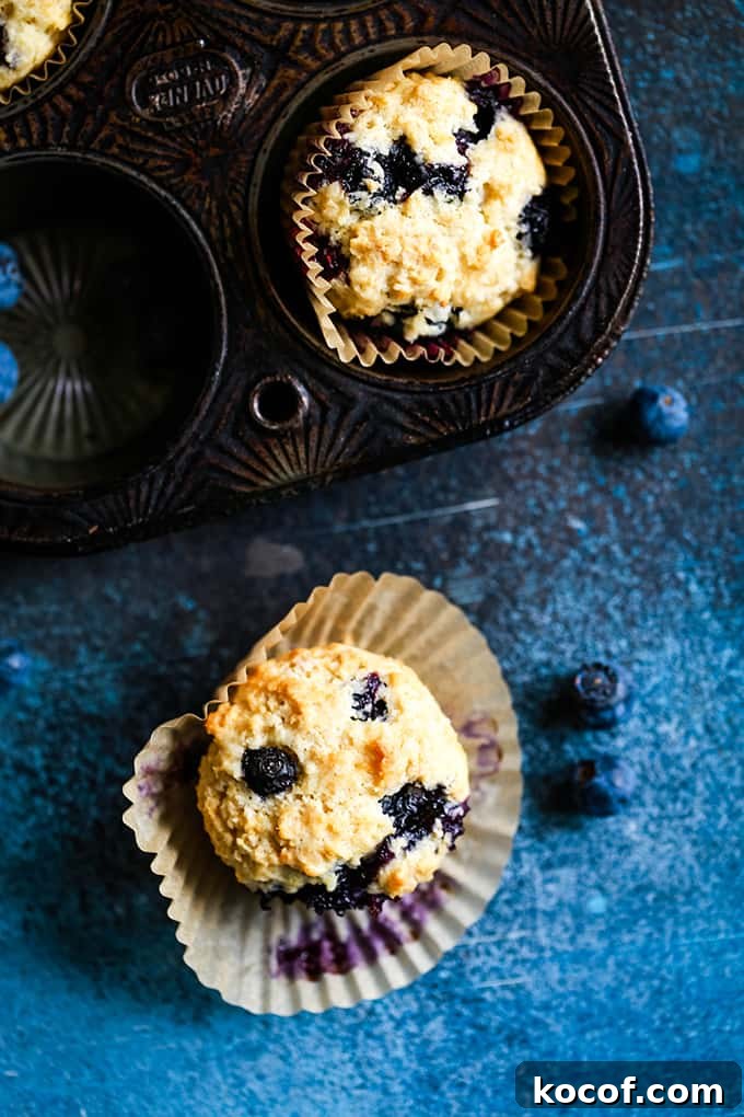 A Yogurt Blueberry Oatmeal Muffin sits in a muffin liner in front of a muffin tin.