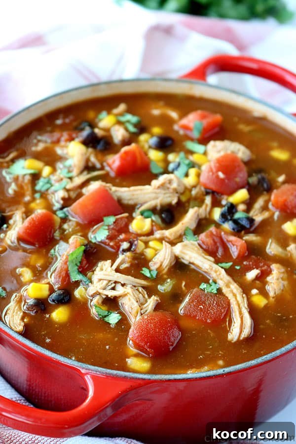 Chicken Tortilla Soup - loaded with shredded chicken, tomatoes, corn, black beans, onions, and green chilies, all in a tasty broth. Chicken Tortilla Soup in pot.