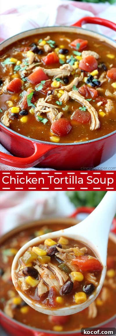 Chicken Tortilla Soup - loaded with shredded chicken, tomatoes, corn, black beans, onions, and green chilies, all in a tasty broth. Long Chicken Tortilla Soup image.