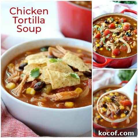 Chicken Tortilla Soup - loaded with shredded chicken, tomatoes, corn, black beans, onions, and green chilies, all in a tasty broth. Chicken Tortilla Soup collage.