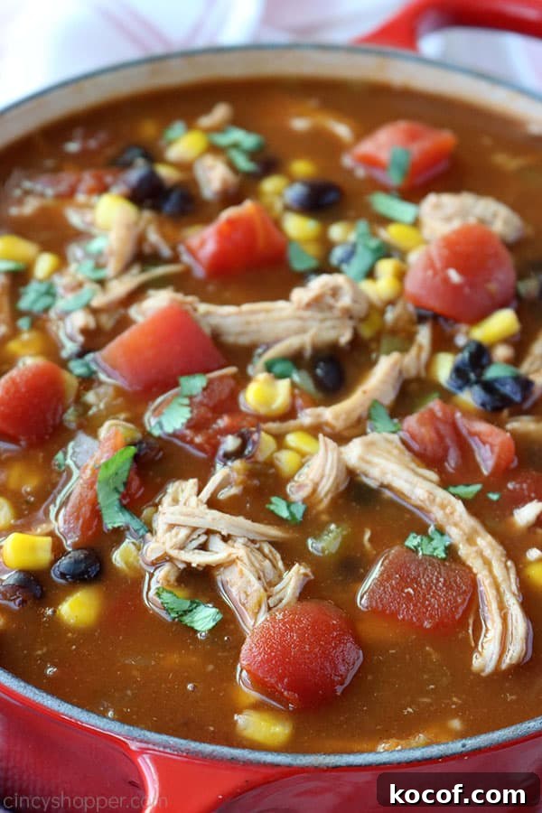 Chicken Tortilla Soup - loaded with shredded chicken, tomatoes, corn, black beans, onions, and green chilies, all in a tasty broth. Closeup of Chicken Tortilla Soup in a pot.